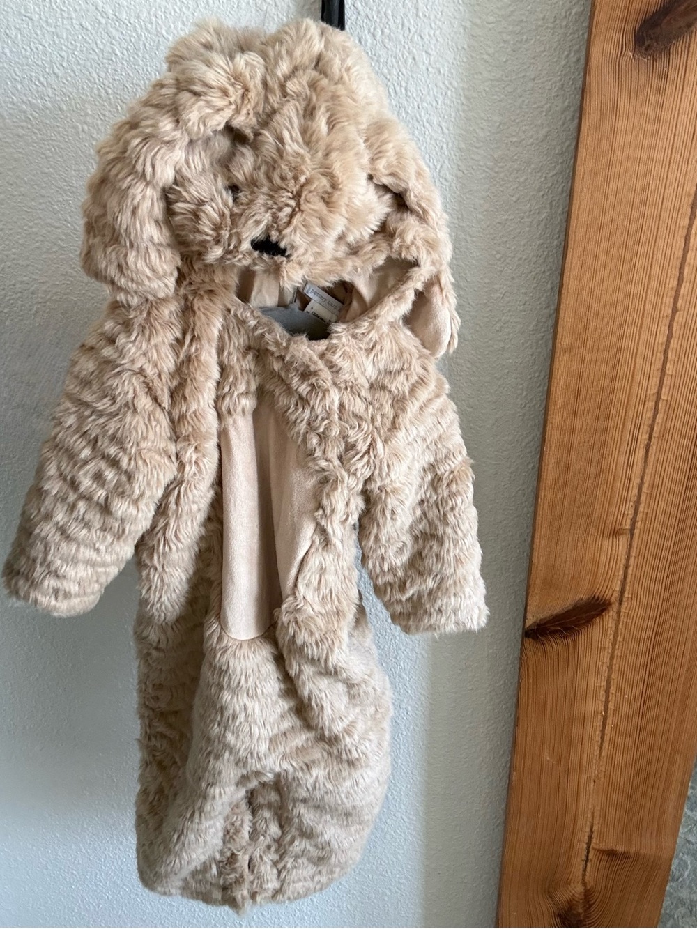 Pottery Barn Kids Beige Faux Fur Teddy Hooded Bunting